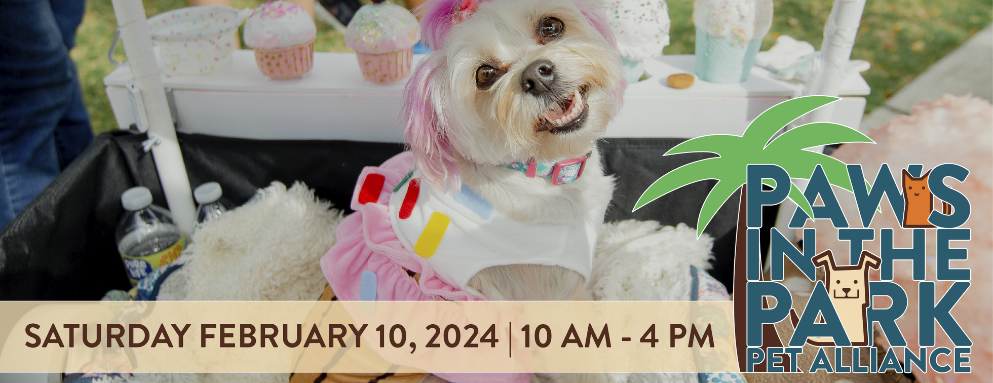 Bark in the Park - A Family & Dog Fest